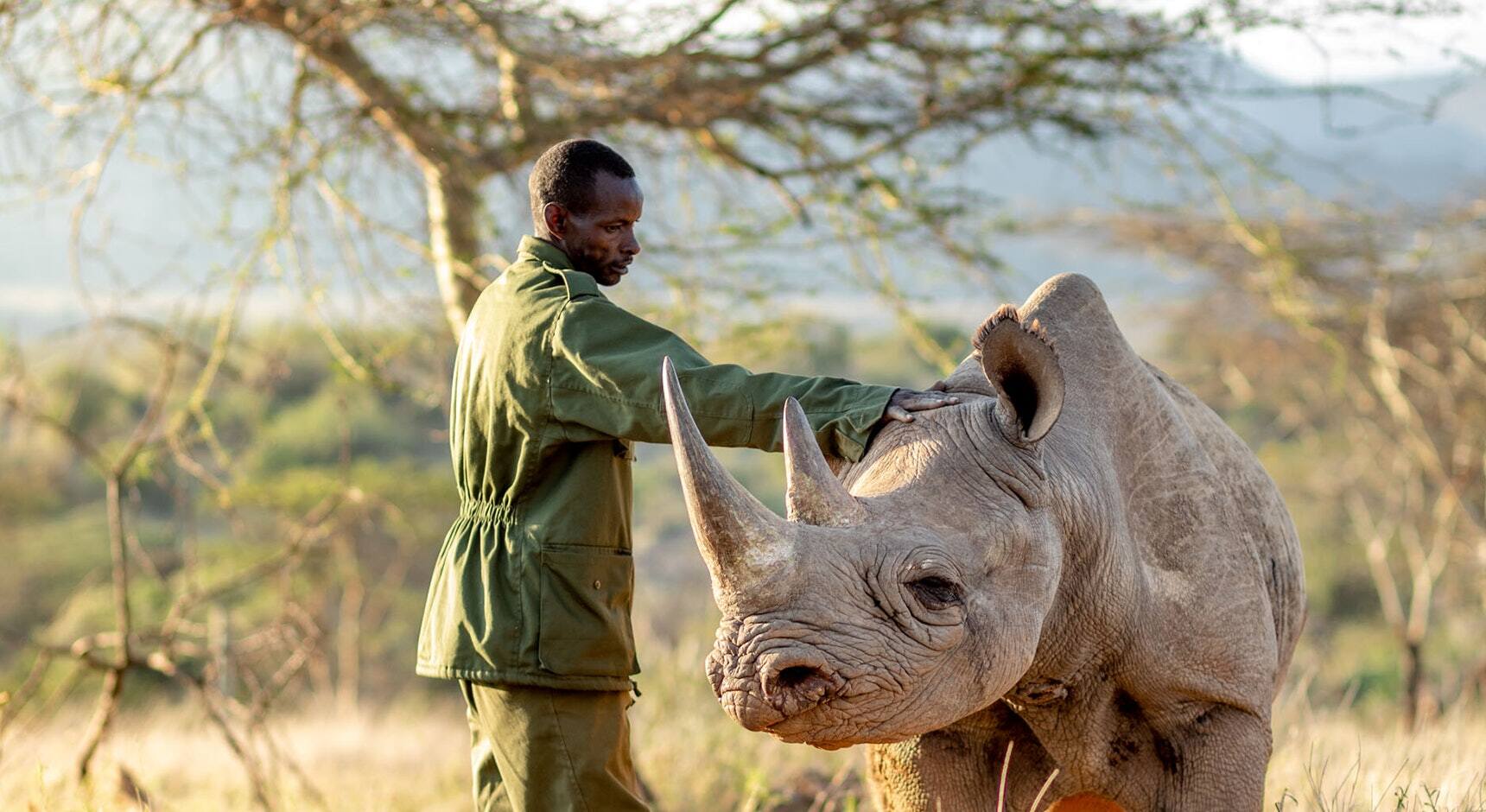 Laikipia wildlife conservancy Kenya