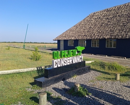 Nimmoh's Safari Experiences Ol Pejeta